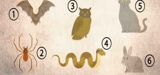 What is Your Spiritual Destiny Choose an Animal and Find Out!