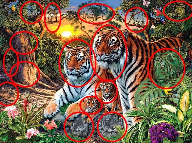 Combien de TIGRES voyez-vous dans l'image?  2