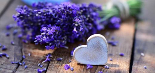 5 Plants that Bring Luck and Positive Energy to Your Home