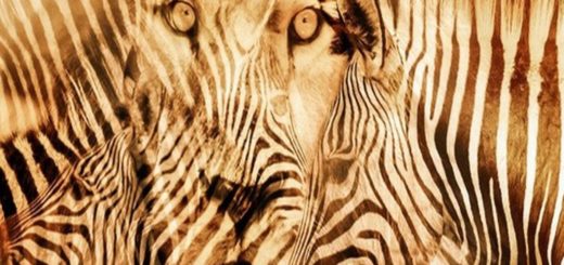 Are You an Introverted or Extroverted Person Find Out With Keeping in Mind the First Thing You Saw