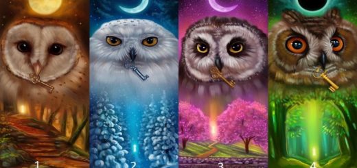 Choose One of the 4 Owls and Find Out the Truth About Yourself