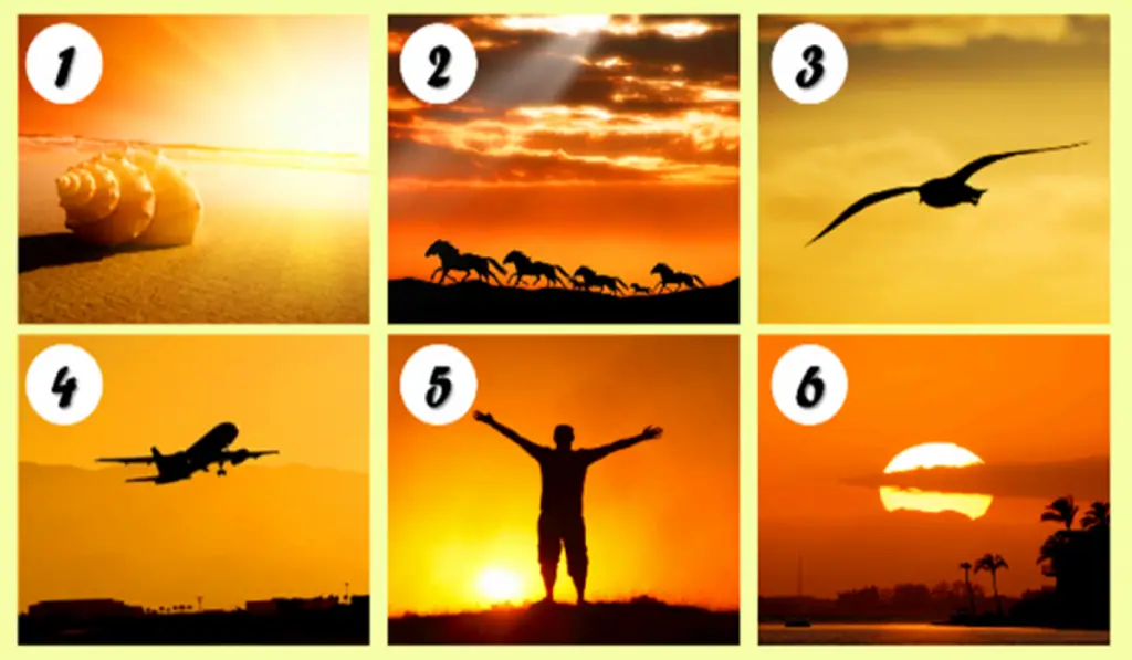 Choose Your Favorite Sunset to Discover the Challenges That Life has in Store for You