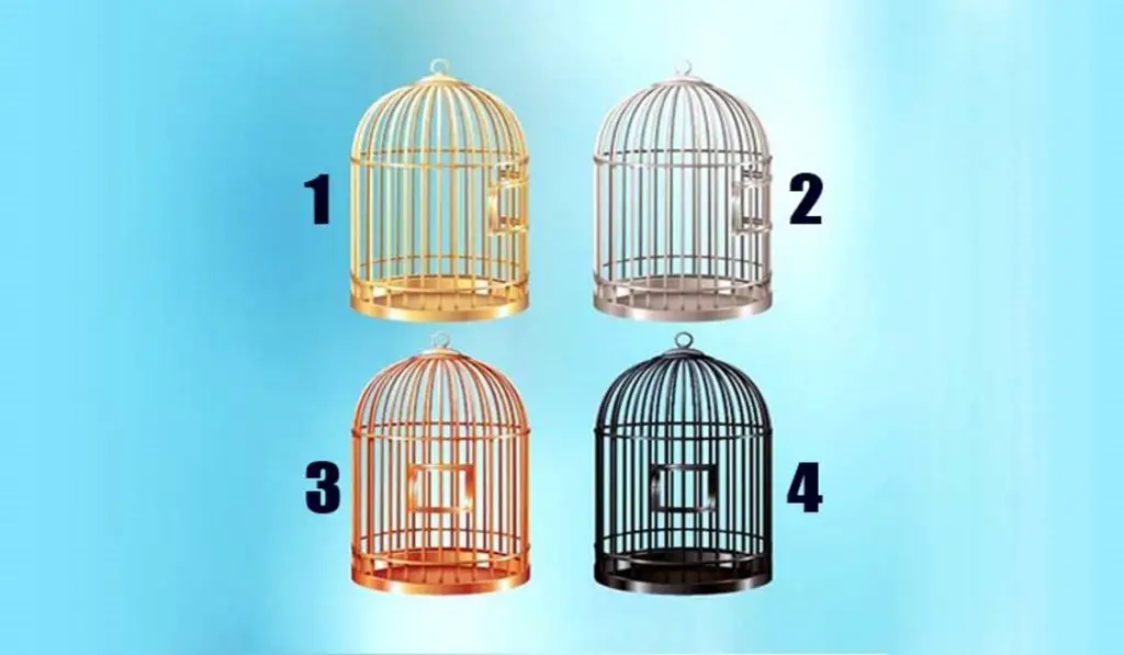 Choose a Cage and Find Out What You Limit Yourself To