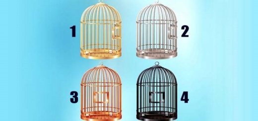 Choose a Cage and Find Out What You Limit Yourself To