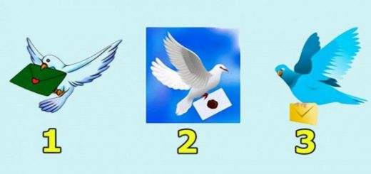 Choose a Dove and Find Out What Will Happen to You in The Next 3 Days