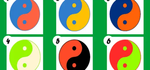 Choose a Yin-Yang and Discover Some Absolutely Unique Secrets of Your Life