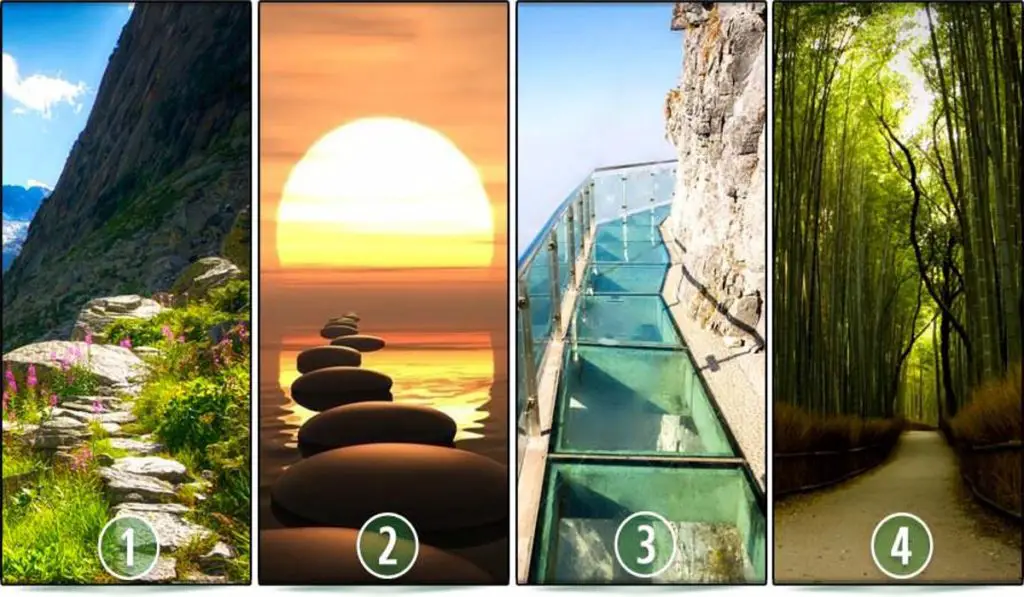 Choose the Path You Would Like to Follow and Discover Important Aspects of Your Life