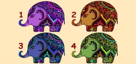 Discover What Your Strength Is by Choosing an Elephant