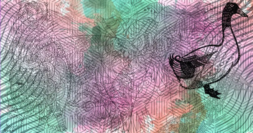 Duck