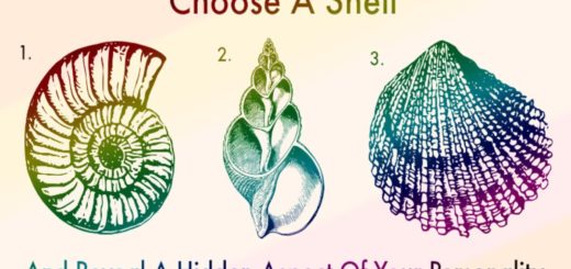 Each Shell Represents A Hidden Aspect Of Your Personality