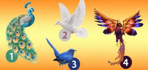 Find Out What News Await You in the Future, Based on the Bird You Have Chosen