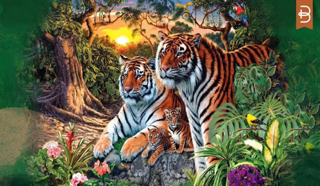 tigers and teddies