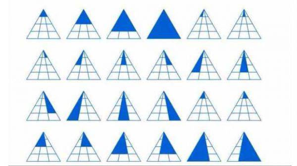 How many triangles do you see in this picture?