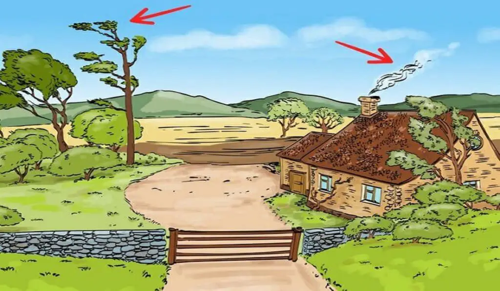 Only 1 Person Out of 5 is Able to Find the Mistake in This Image. Are You One of Them 2