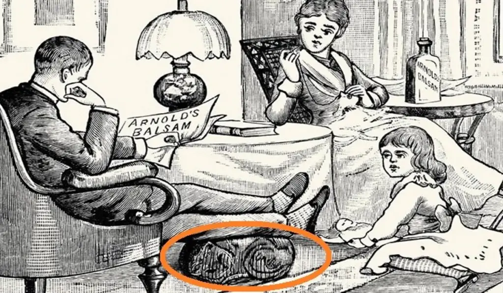 Only Very Careful People Can Find the 2 Hidden Cats in This Photo (2)