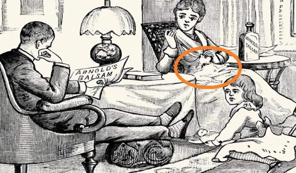 Only Very Careful People Can Find the 2 Hidden Cats in This Photo (3)