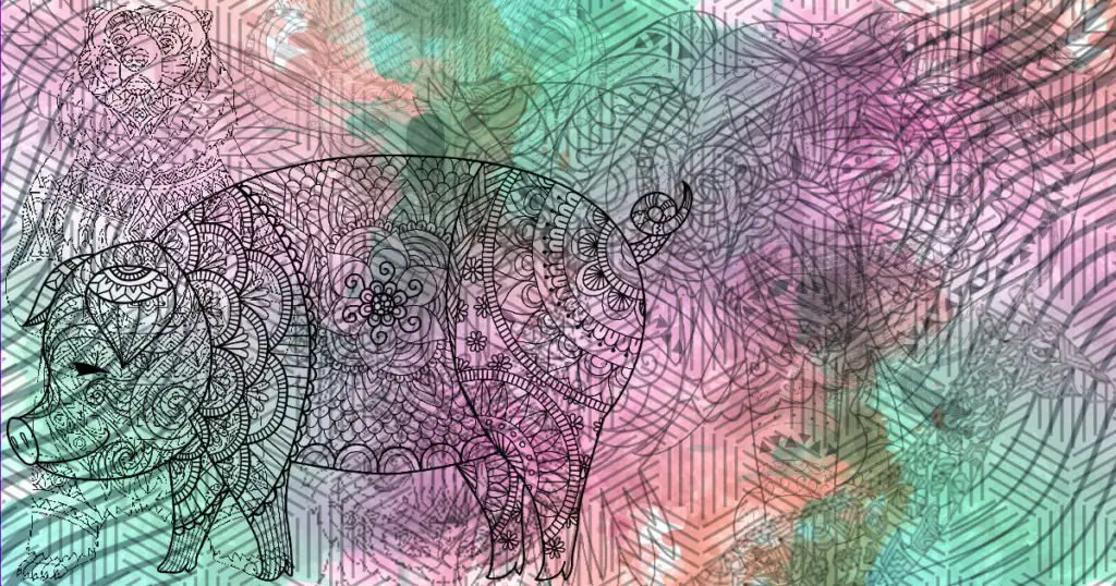 Pig