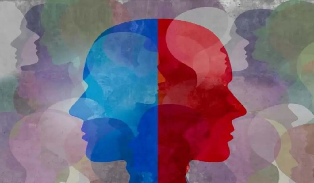 What is Your Personality Type? Scientists Have Identified 4 Types of ...