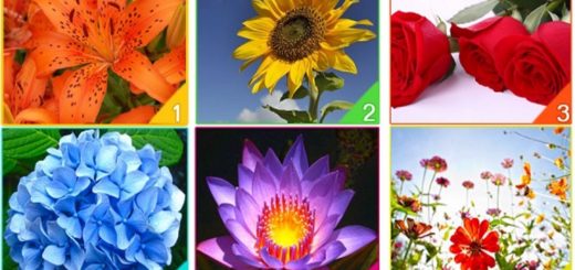 Which Flower Represents Your Spirit