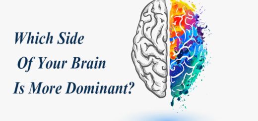 Which Side Of Your Brain Is More Dominant