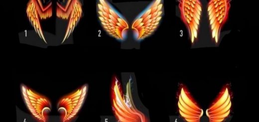 Your Guardian Angel Has an Important Message For You, Choose a Pair of Wings and Receive It!