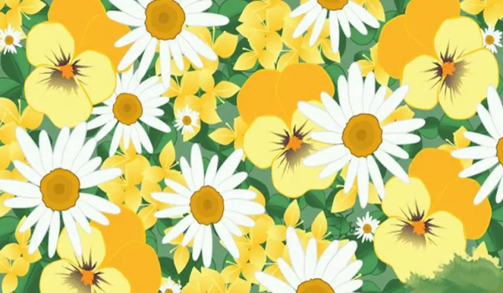 Can You Find the Bug in This Image Check Your Perception and Prove You Are are Genius!