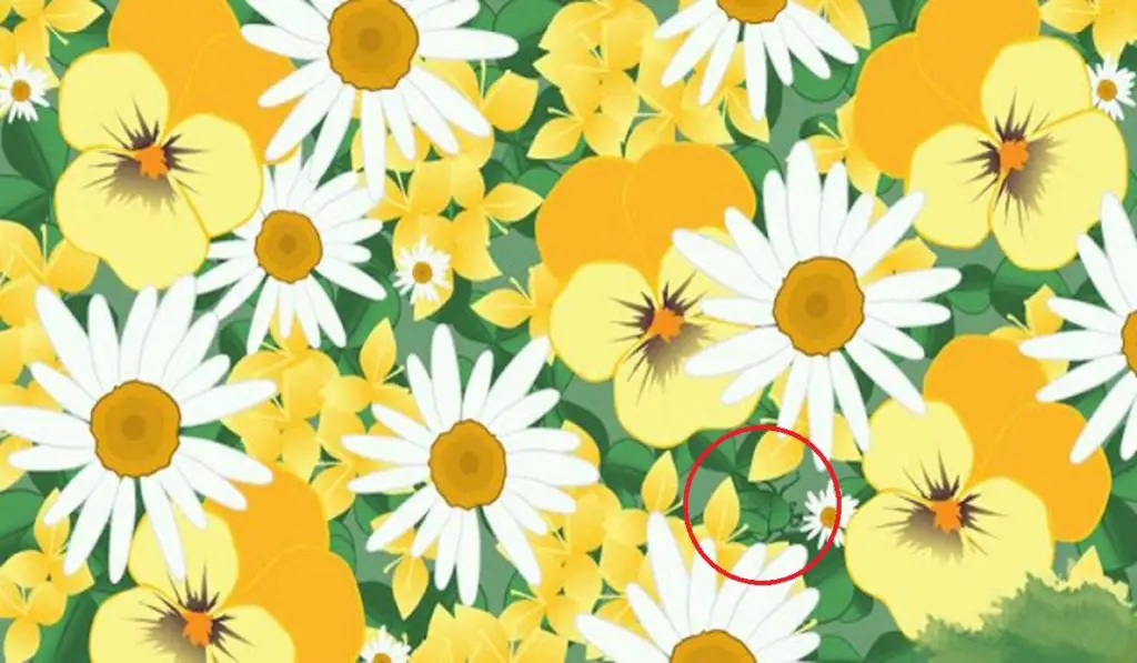 Can You Find the Bug in This Image Check Your Perception and Prove You Are are Genius! - 2