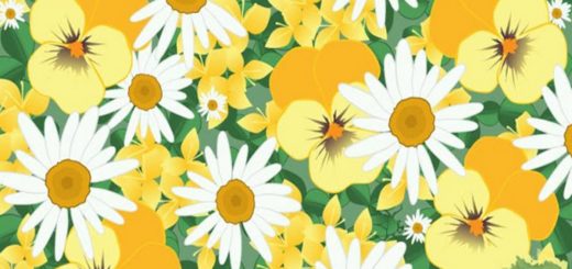 Can You Find the Bug in the Picture? Check Your Perception and Prove You Have an Amazing Vision!