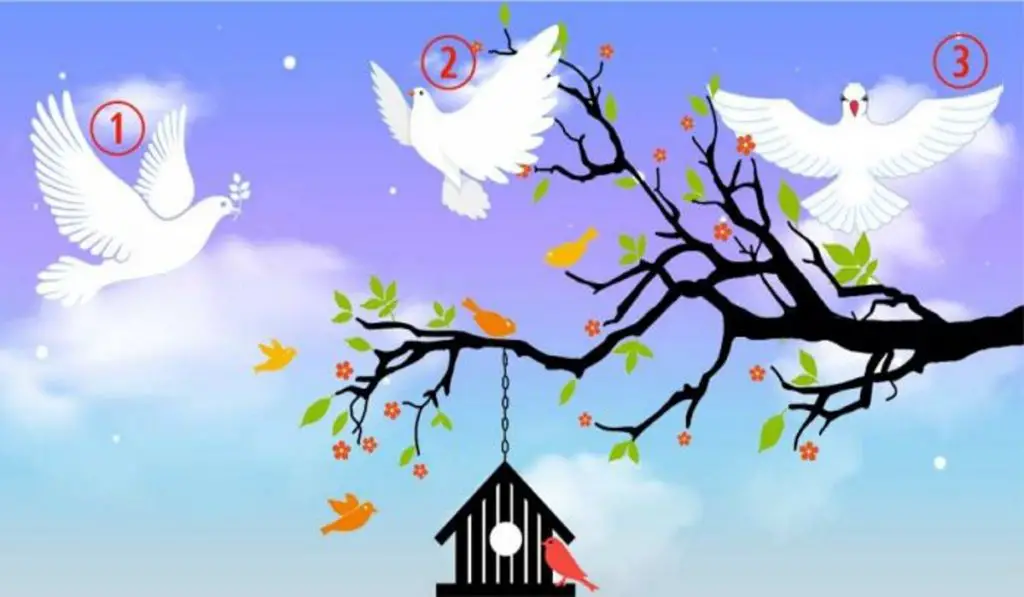 Choose Your Dove of Peace and Receive a Beautiful Message of Light