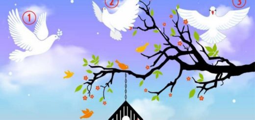 Receive a Beautiful Message of Light by Choosing a Dove of Peace