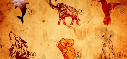 Choose Your Spiritual Animal and Receive a Message of Power for Your Soul