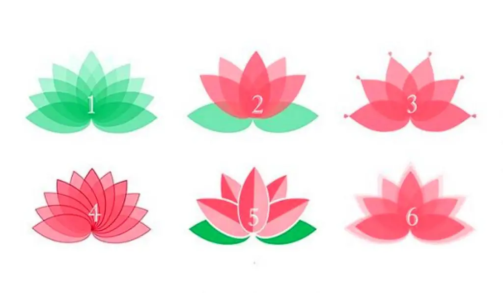 Choose a Lotus Flower and Read the Advice You Need to Overcome the Current Situation - Namastest