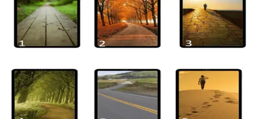 Choose the Path You Want to Travel and Learn a Great Secret of Your Inner Being