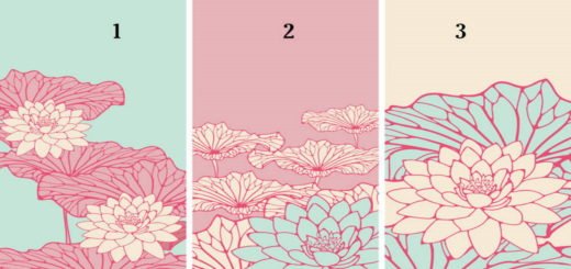 Discover What Your Luck Holds by Choosing One of Japanese Flowers