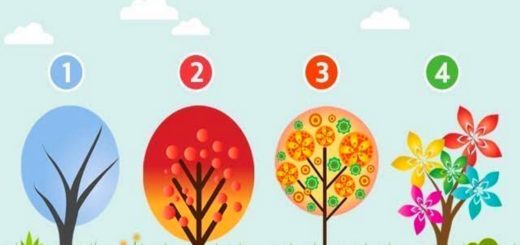 Discover Which Emotion Dominates You by Choosing a Tree