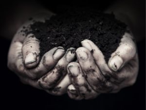 Earth Hands