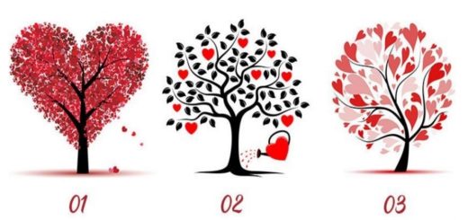 Find Out What Kind of Man Suits You by Choosing a Love Tree