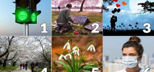 Intuitively Choose a Photo and Find Out What Awaits You in June