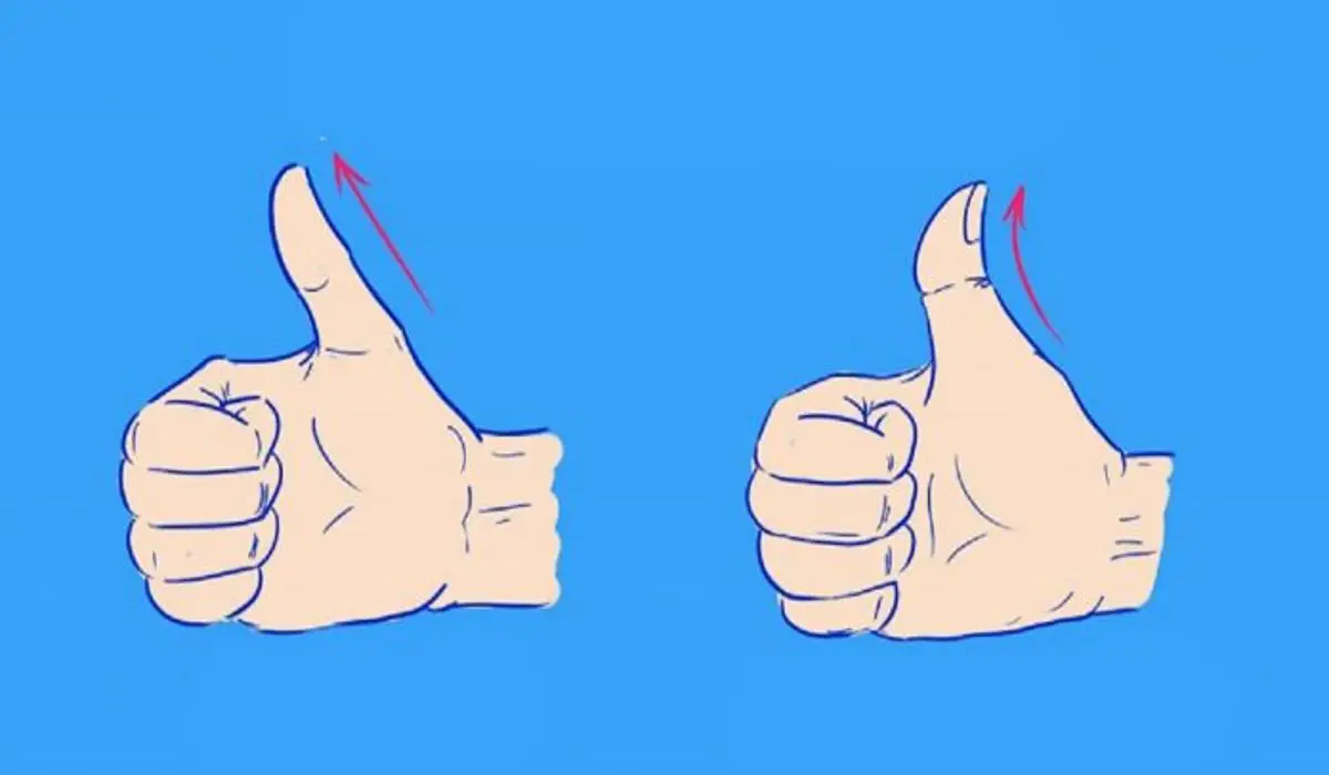 is-your-thumb-straight-or-curved-here-s-what-it-can-tell-you-about