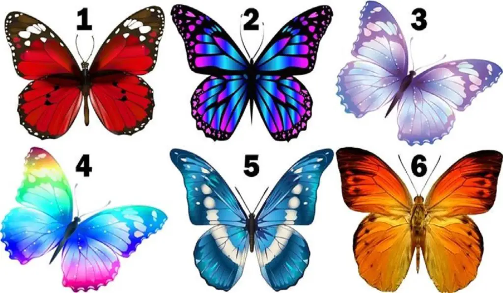 Learn more About Your Character by Choosing the Butterfly You Like Best