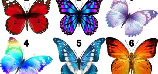 Learn more About Your Character by Choosing the Butterfly You Like Best