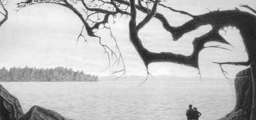 Only 5% Of The Population Can Spot The Baby Hidden In The Photo. Can You?