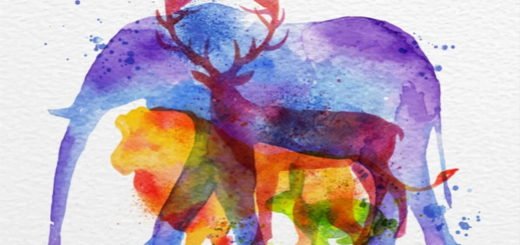 The Animal You Saw Will Tell You What Power is Hidden Inside You