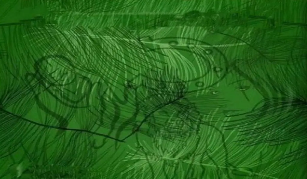 What is The First Thing You Saw Find Out What's Missing In Your Life to Be Truly Happy