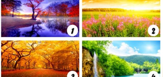 Emotional Psychology - Choose Your Favorite Landscape and Be Amazed by its Wonderful Meaning