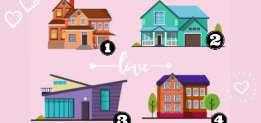 In Which House Would You Choose to Live? The Test Will Reveal What Kind of Partner You Need