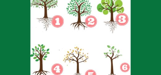 Which Tree Did You Choose? The Roots Can Say a Lot About Your Life