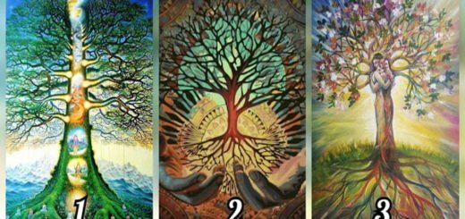 Choose a Tree of Wisdom and Discover What Powers You Inherited From Your Ancestors