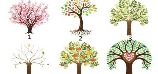 Choose the Tree That Attracts Your Attention to Reveal Your Dominant Personality Trait