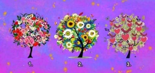 Choose the Tree of Happiness That Catches Your Attention and Find Out What Awaits you This Summer